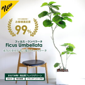 【5%OFFクーポン！お買い物マラソン】 フィカス・ウンベラータ 160cm 【ファイバークレイ製 プランター & バークチップ 付き】【無光触媒加工済】 フェイクグリーン 大型 観葉植物 フェイク リアル 造花 インテリア 人工観葉植物 光触媒 CT触媒[pl]