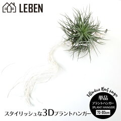 楽天市場 エアープランツ リーベン ヨーロッパの暮らし
