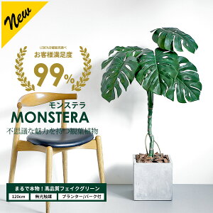 Xe 120cm yt@Co[NC v^[ & o[N`bv tz G}H tFCNO[ ^ ϗtA tFCN A  CeA lHϗtA G} CTG}[pl]