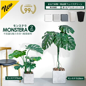モンステラ 75cm 120cm 【ファイバークレイ製 プランター & バークチップ 付き】 無光触媒加工済 フェイクグリーン 大型 観葉植物 フェイク リアル 造花 インテリア 人工観葉植物 光触媒 CT触媒[pl]