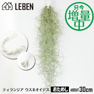 【お買い物マラソン】★予約★1000円ポッキリ！【期間限定：通常より680円もお得！】【只今！増量中】お…
