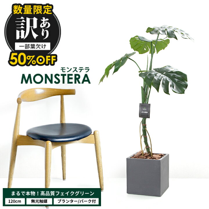 楽天市場】【訳あり品 50％OFF】モンステラ 120cm 【ファイバークレイ 