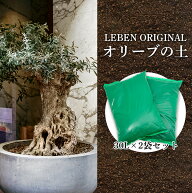 オリーブの土 2袋1セット 大容量 60L 培養土 オリーブ 鉢植え 地植え 植え込み 弱アルカリ性（pH約8) 土…