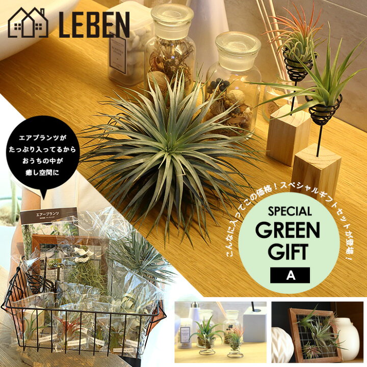楽天市場 名入れ ギフト プレゼント 植物 スペシャルグリーンギフトセット A お得 円 円 エアープランツ エアプランツ 観葉植物 母の日 母 古希 喜寿 米寿 長寿 メッセージカード ギフト リーベン ヨーロッパの暮らし