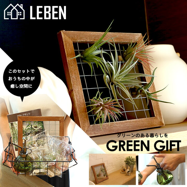 楽天市場 名入れ ギフト プレゼント 植物 木製ワイヤーフレームギフト セット割 6260円 4800円 エアープランツ エアプランツ 観葉植物 母の日 母 古希 喜寿 米寿 長寿 メッセージカード 霧吹き 水やり ミスト スプレー ボトル リーベン ヨーロッパの暮らし
