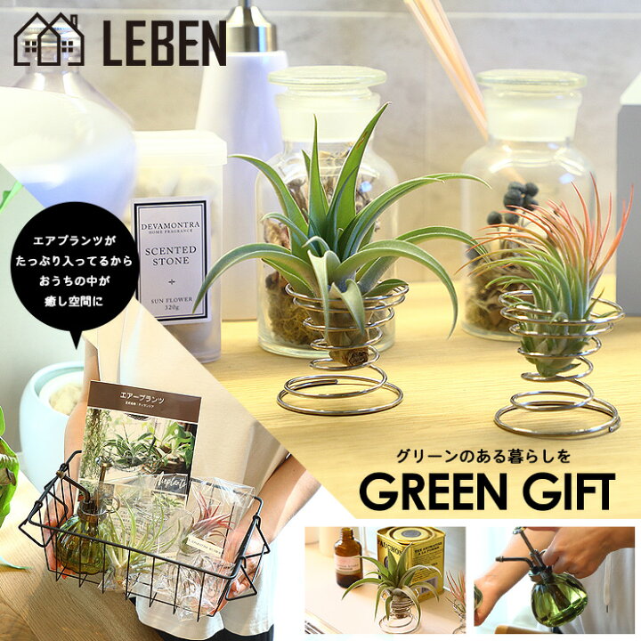 楽天市場 名入れ ギフト プレゼント 植物 くるくるワイヤースタンド エアプランツギフトセット セット割 5060円 3980円 エアープランツ エアプランツ 観葉植物 母の日 母 メッセージカード 霧吹き 水やり ミスト スプレー ボトル リーベン ヨーロッパの暮らし