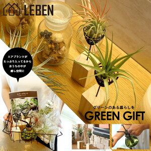 [ Mtg v[g A] ؐ邭郏C[X^h GAvcMtgZbg yZbgF6840~5480~zGA[vc GAvc ϗtA ̓  bZ[WJ[