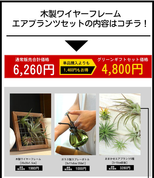 楽天市場 名入れ ギフト プレゼント 植物 木製ワイヤーフレームギフト セット割 5960円 4800円 エアープランツ エアプランツ 観葉植物 母の日 母 古希 喜寿 米寿 長寿 メッセージカード 霧吹き 水やり ミスト スプレー ボトル リーベン ヨーロッパの暮らし