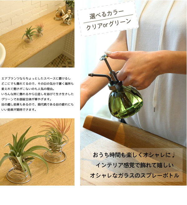 楽天市場 名入れ ギフト プレゼント 植物 くるくるワイヤースタンド エアプランツギフトセット セット割 4760円 3980円 エアープランツ エアプランツ 観葉植物 母の日 母 メッセージカード 霧吹き 水やり ミスト スプレー ボトル リーベン ヨーロッパの暮らし