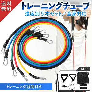 X[p[Z[ z yVi SgΉ & 5{Zbgzg[jO`[u Xgb`oh ؃g `[u g[jOoh k`[u S`[u  Soh GNT