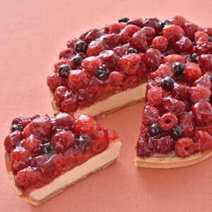 【送料無料】果実の酸味とコクのあるチーズとの相性が絶妙なフルーツチーズケーキ『ニューヨークスタイル』6寸サイズ