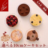 [期間限定]選べる10cmケーキセット 4台/3台 銀座ル・ブラン 冷凍ケーキ 食べ比べ ミニホールケーキ モン…