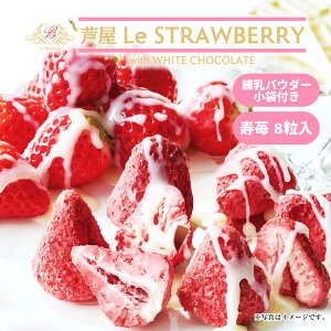 LeSTRAWBERRY(pE_[tj 8 / ݃`R ݃`R 䕃`R  pE_[ v[g  C`S 䕃`R[g ܐZ`R  XC[c `R zCg`R 