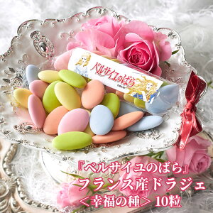 AjwxTĈ΂xR{ hWF K̎10 `R  v`Mtg uC_ EFfBO ꂨَq CX^f `R[g v`Mtg v[g 