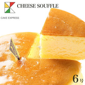 Xt`[YP[L 6o[Xf[P[L aP[L yz 7`10lp 񂹃XC[c Ⓚ `Rv[gt