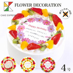 AM[Ή sgp aԃP[L bZ[Wt[cO퐶N[ 4o[Xf[P[L aP[L yz 2`3lp AM[ ԑ ӏ TvCY Ⓚ