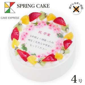AM[Ή sgp t̂jP[L bZ[Wt[cO퐶N[ 4o[Xf[P[L aP[L yz 2`3lp AM[ w    AE 