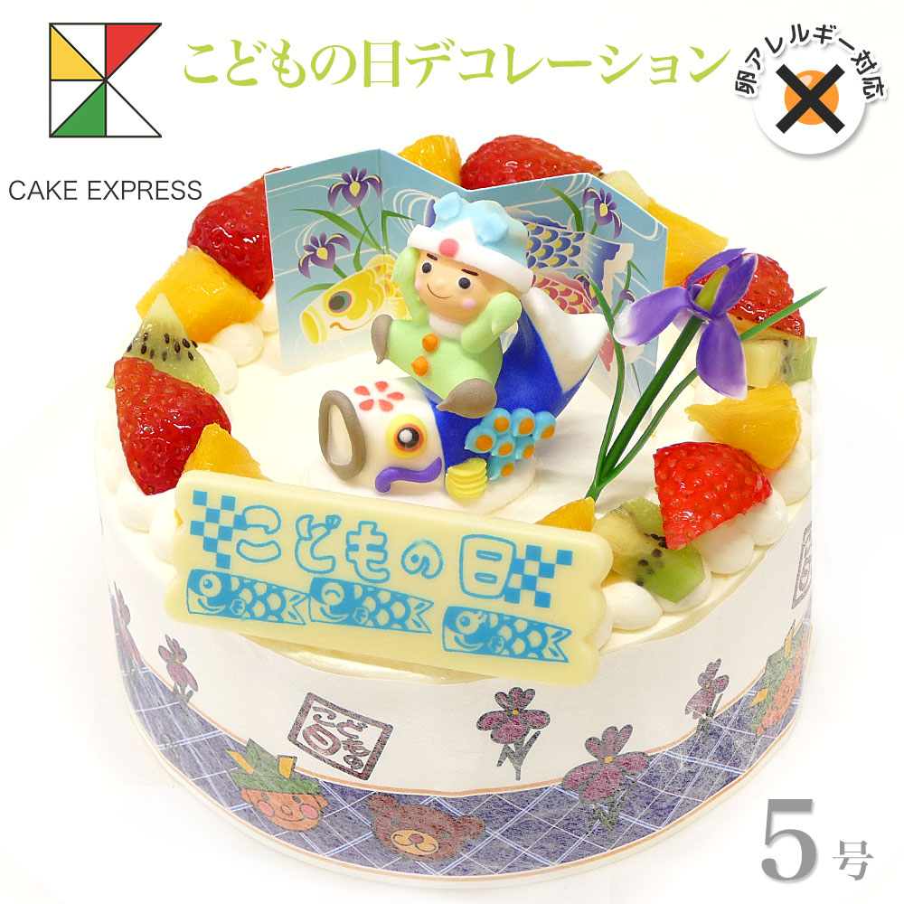 1620円 高級 卵アレルギー対応写真ケーキ5号：送料無料 プリントケーキ 卵不使用ケーキ 画像ケーキ 誕生日ケーキ バースデーケーキ 記念日 お祝い 内祝い