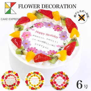 AM[Ή sgp aԃP[L bZ[Wt[cO퐶N[ 6o[Xf[P[L aP[L yz 7`10lp AM[ ԑ ӏ TvCY Ⓚ