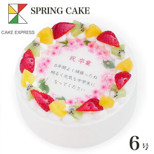 t̂jP[L bZ[Wt[cO퐶N[ 6o[Xf[P[L aP[L yz 7`10lp w    AE ӏ  XC[c TvCY Ⓚ