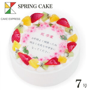 t̂jP[L bZ[Wt[cO퐶N[ 7o[Xf[P[L aP[L yz 11`14lp w    AE ӏ  XC[c 傫 Tv