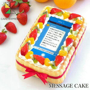 SNSbZ[WP[L t[cN[ 21×14cmo[Xf[P[L aP[L yz 6`8lp ӏ TvCY Ⓚ