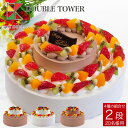 ダブルタワーケーキ 8号＋4号バースデーケーキ 誕生日ケーキ 【送料無料】 18〜20名様用 二段 披露宴 パーティ 大きい…