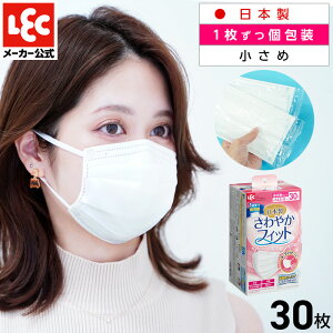 { 1  sDz }XN ߃TCY 30 ĝ ₩tBbg 145×90mm LS JISKiK bN _CNg lec
