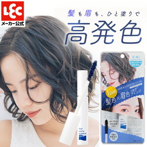 ヘアカラー 1day ワンデイ ヘアマスカラ ヘアマニキュア 髪染め 眉毛染め アイブロウ アイブロー 眉マスカラ 眉毛染め 眉 髪 medene メデネ ダスティブルー 1個 レック ダイレクト lec