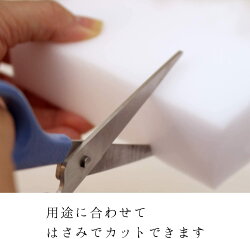 レック激落ちキング