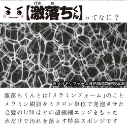 レック激落ちキング