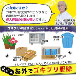楽天市場 バルサン Gキャップ 屋外用 プランツカバー G ゴキブリ ごきぶり ゴキブリ 卵 大型 退治 対策 駆除 駆除剤 殺虫 殺虫剤 害虫 虫 トラップ 誘因 駆除 屋外 外 ベランダ 庭 置き型 設置 設置型 クリアカラー 日本製 レックダイレクト