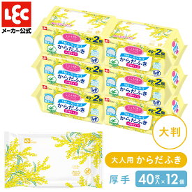 介護用 からだふき からだふきタオル 大判厚手 ウエットシート 濡れタオル ウェットシート お風呂 防災グッズ こころ想い 40枚×2個 6個セット レック ダイレクト