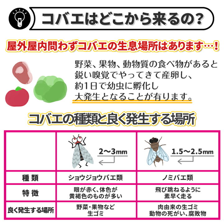 楽天市場 バルサン コバエ対策セット 魅惑の小瓶2p 直撃ワンプッシュ微香 レックダイレクト 楽天市場店