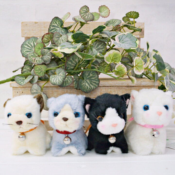 楽天市場】ぬいぐるみ 猫 サバトラ グレー ハチワレ 黒猫 白猫 三毛猫 