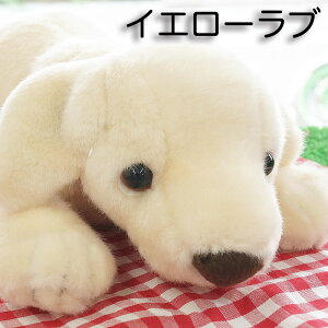 uh[go[ MTCY A 傫 ̂ʂ  Ck 킢 ӂӂ ObY G Mtg  Aj} l`̋g oYj ʂ  G VgN N