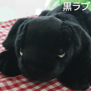 uh[go[ ʂ SS 25cm l`̋g VgN  A ObY G 킢 ӂӂ u   Aj} NX}X v[g