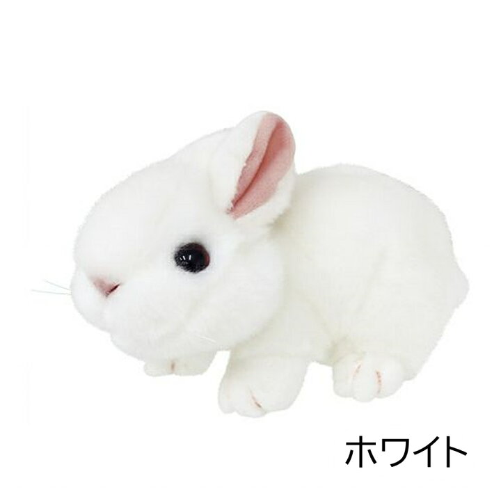 楽天市場】ぬいぐるみ うさぎ ウサギ 雑貨 色が選べる ギフト 誕生日  