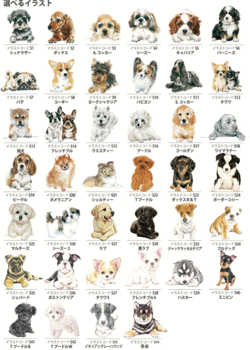 楽天市場 取り寄せ専用ページ わんコレ マグカップ 犬食器 犬グッズ 犬雑貨 わんこれ ワンコレ 卒業式 プレゼント ギフト 母の日 お返し バルーン アニマル雑貨 Le Chien