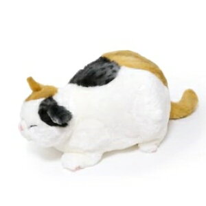 ʂ OєLy}Az^Cv cuddly Jh[ ˂̂ʂ A ʂ VA LObY NX}X v[g