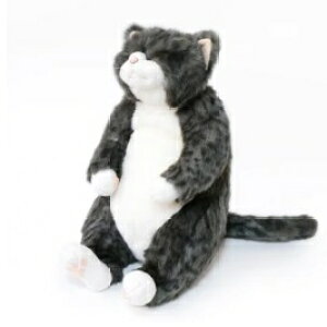 ʂ L gysJ[gzcuddly Jh[ ˂̂ʂ { A VA LObY