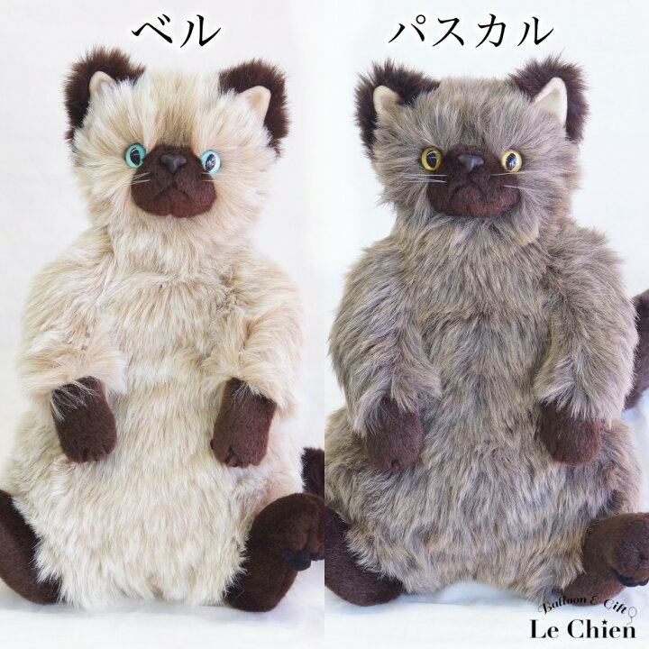 楽天市場】ぬいぐるみ 猫 チンチラ【ベル bell】 cuddly カドリー ね 