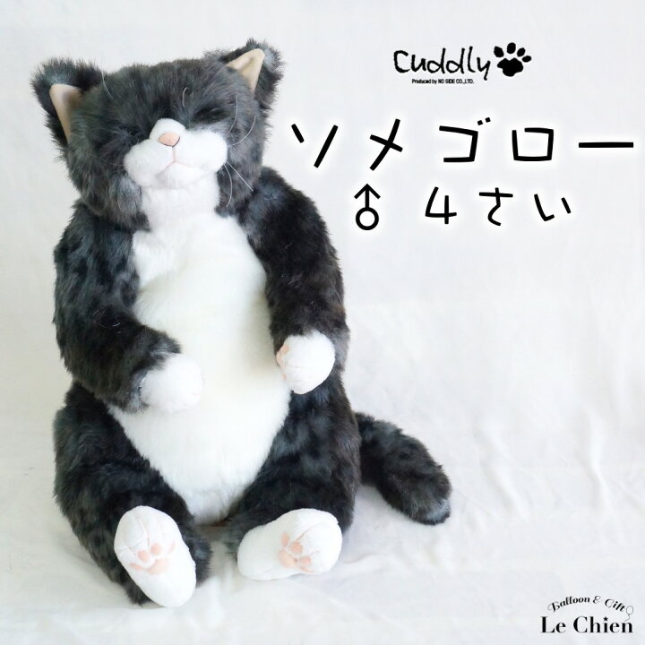 楽天市場】ぬいぐるみ 猫 茶トラ【ピンカートン】cuddly カドリー ね 