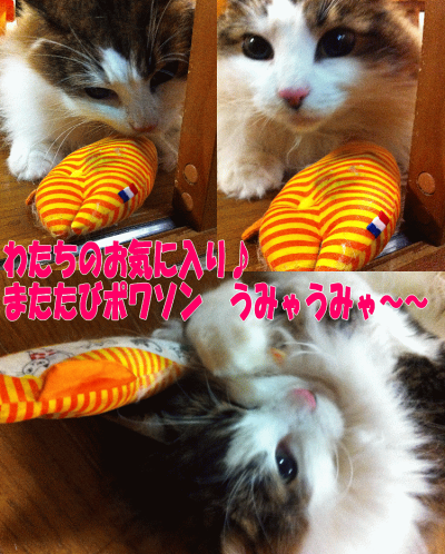 【猫オモチャ】【またたび入り】またたびポワソン柄おまかせ(またたび入り猫ちゃんのおもちゃ)(猫のおもちゃポワソンねこネコ魚ネコ雑貨ネコグッズ)