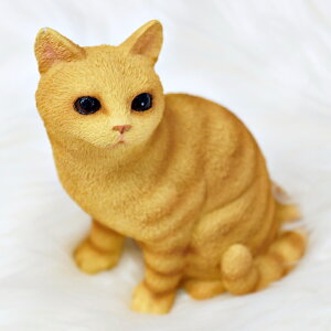 L̒u tBMA My Cat Collection g@`g@uE т[ L̃tBMAI Ǝ v[g Mtg Ԃ VA