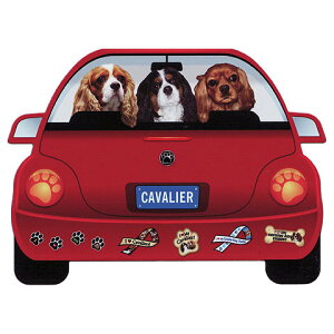  }Olbg  LoA ObY  킢     G }Olbg Ԃɓ\ hbO XebJ[ v[g ̓ v[g