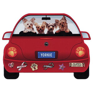  }Olbg  [NVeA [L[ ObY  킢     G }Olbg Ԃɓ\ hbO XebJ[ v[g ̓ v[g