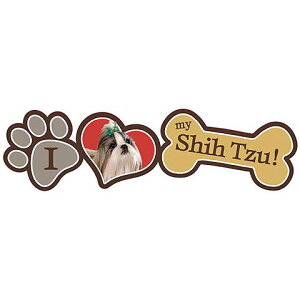 PLBXebJ[V[Y[(̃J[XebJ[ Dɂ߂̍^V[ ObY G hbOObY 킢 fUCV[ ʔ yV)y[OKz Ǝ v[g Mtg 