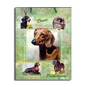 _bNXth MtgobO    EIɗLȓƁuXECXebhvfUC ObY RNV fUCi[uh v[g 蕨  obO ̓ 