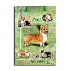 メイ ペット 犬用品の通販 価格比較 価格 Com